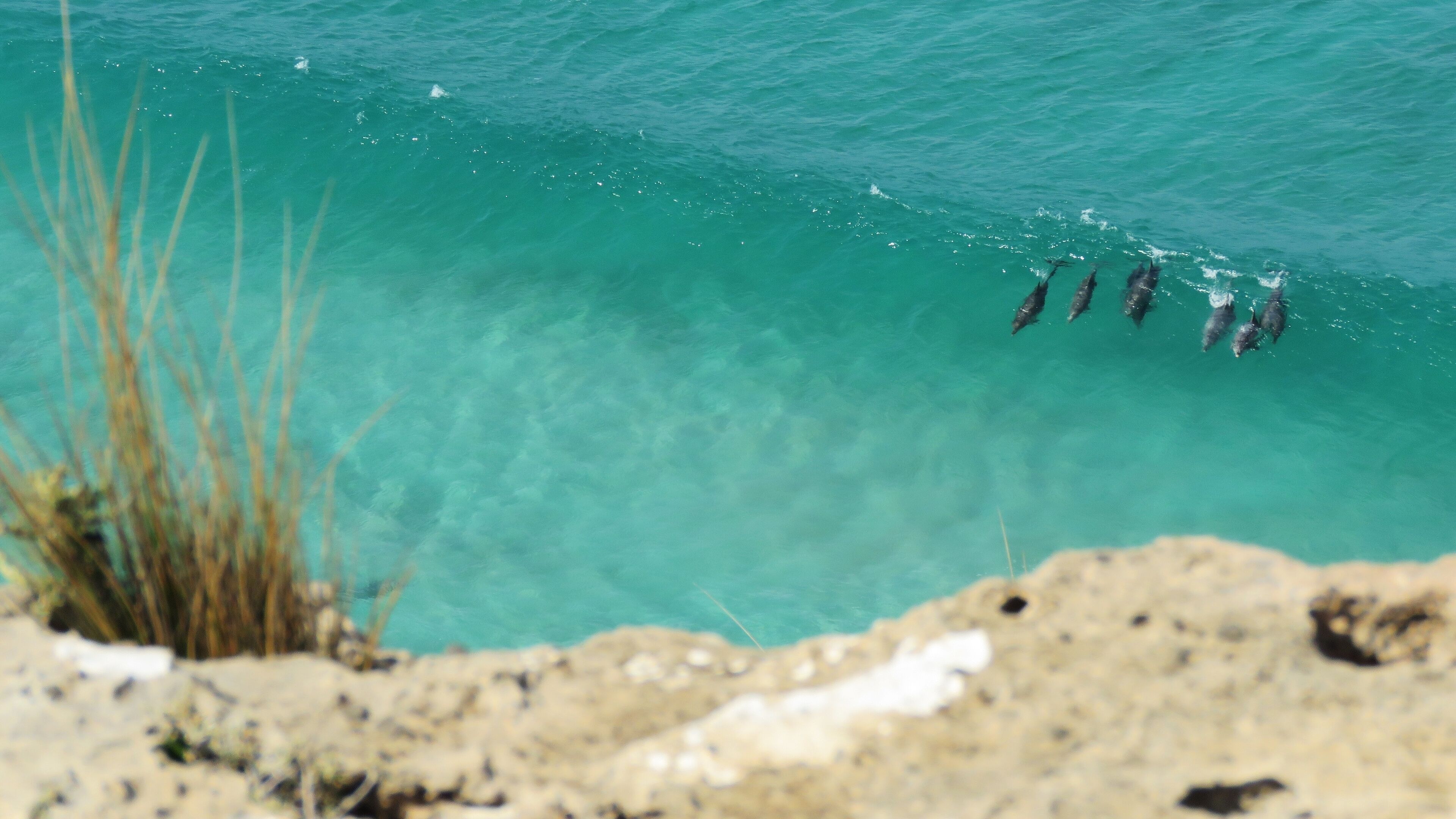 Innes National Park is just footsteps away from this perfectly located property — image 23