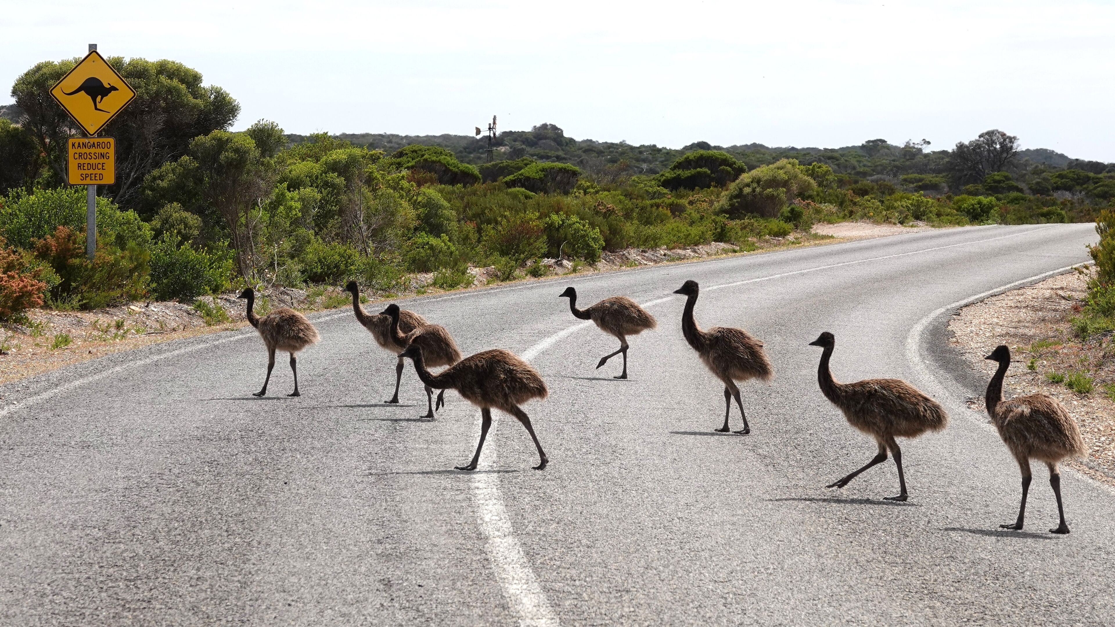 Innes National Park is just footsteps away from this perfectly located property — image 30