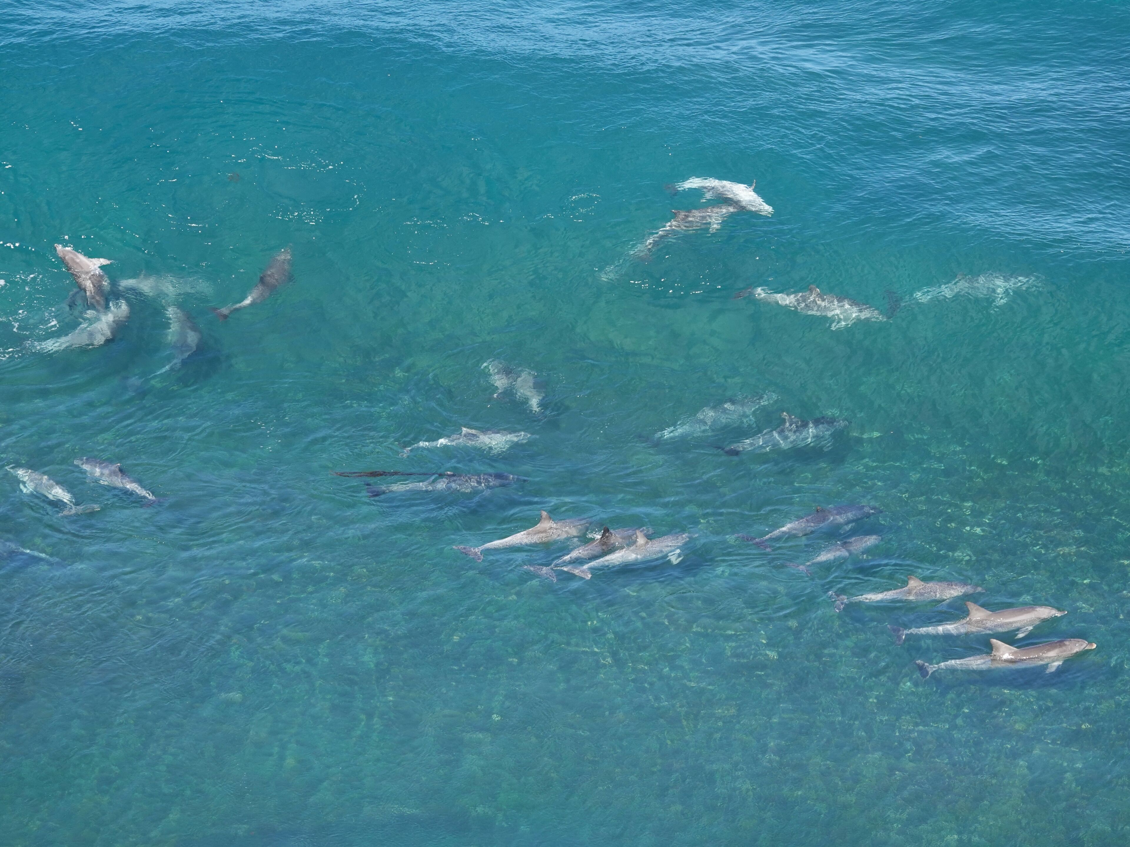 Innes National Park is just footsteps away from this perfectly located property — image 21