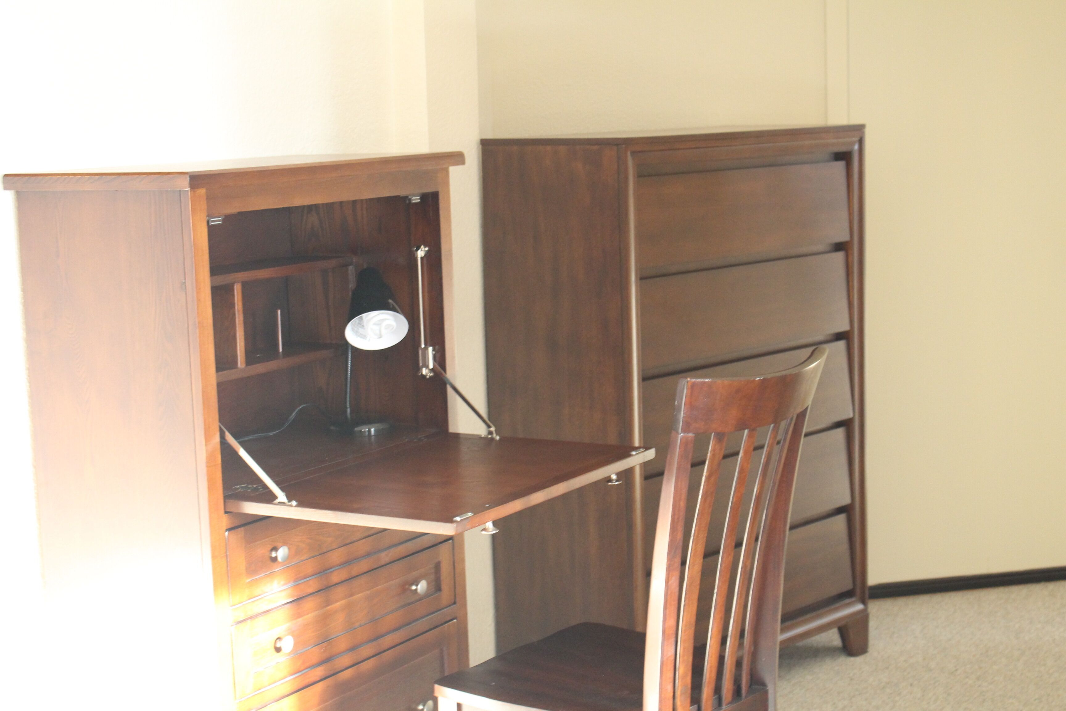 Alaskan Trailside With Views