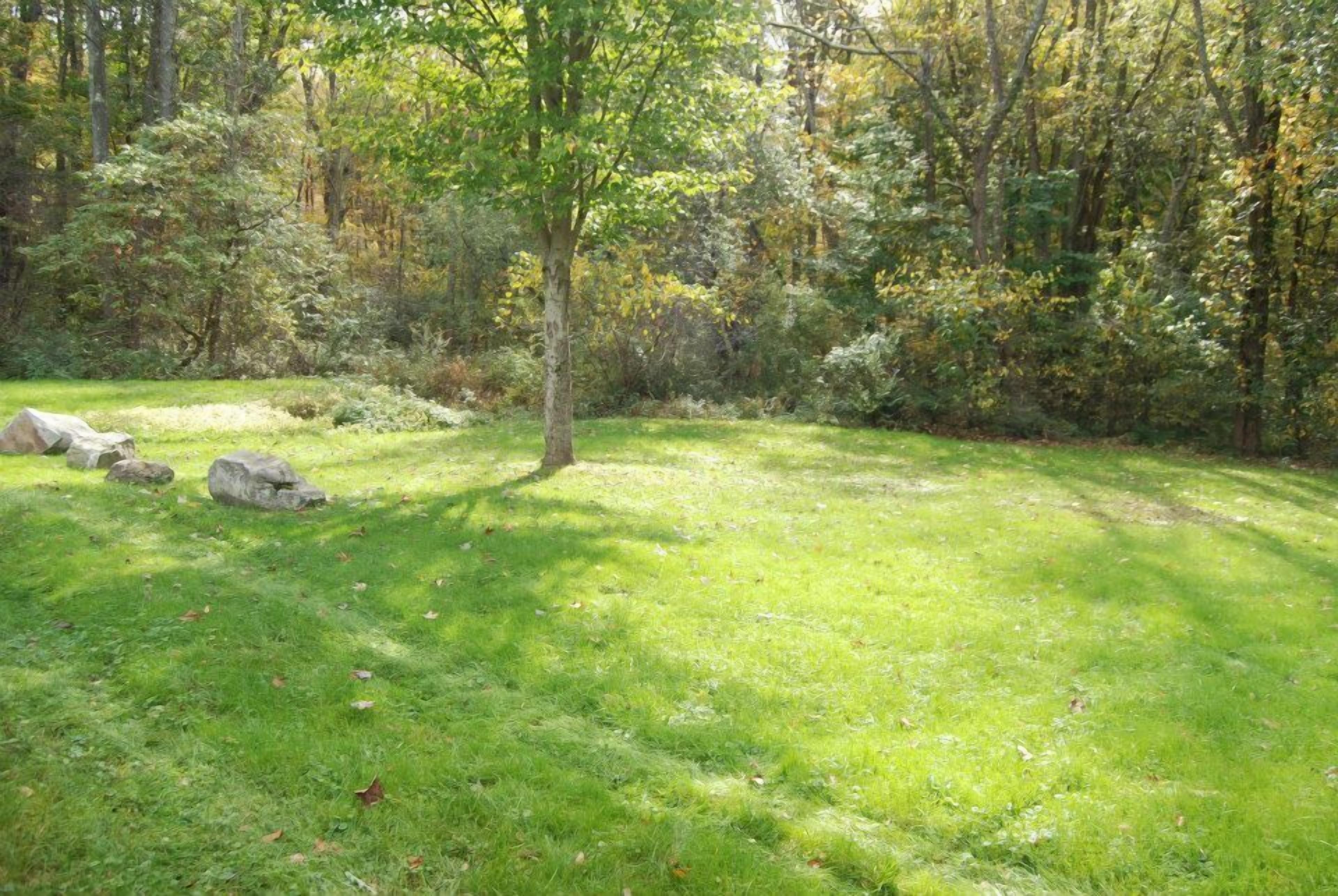 A grassy outdoor area with trees and rocks.