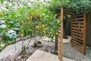 Property grounds - Charming 1-Bedroom Home near Downtown Culver (Culver City)