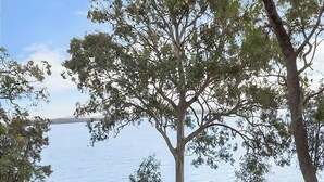 Una vista serena de un lago rodeado de árboles y un área con césped.