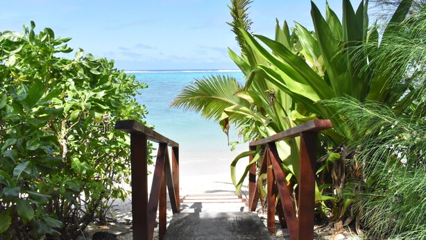 A wooden pathway leading to a beach with clear blue water and lush greenery.