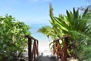 Un sendero de madera que lleva a una playa con agua azul cristalina y exuberante vegetación.