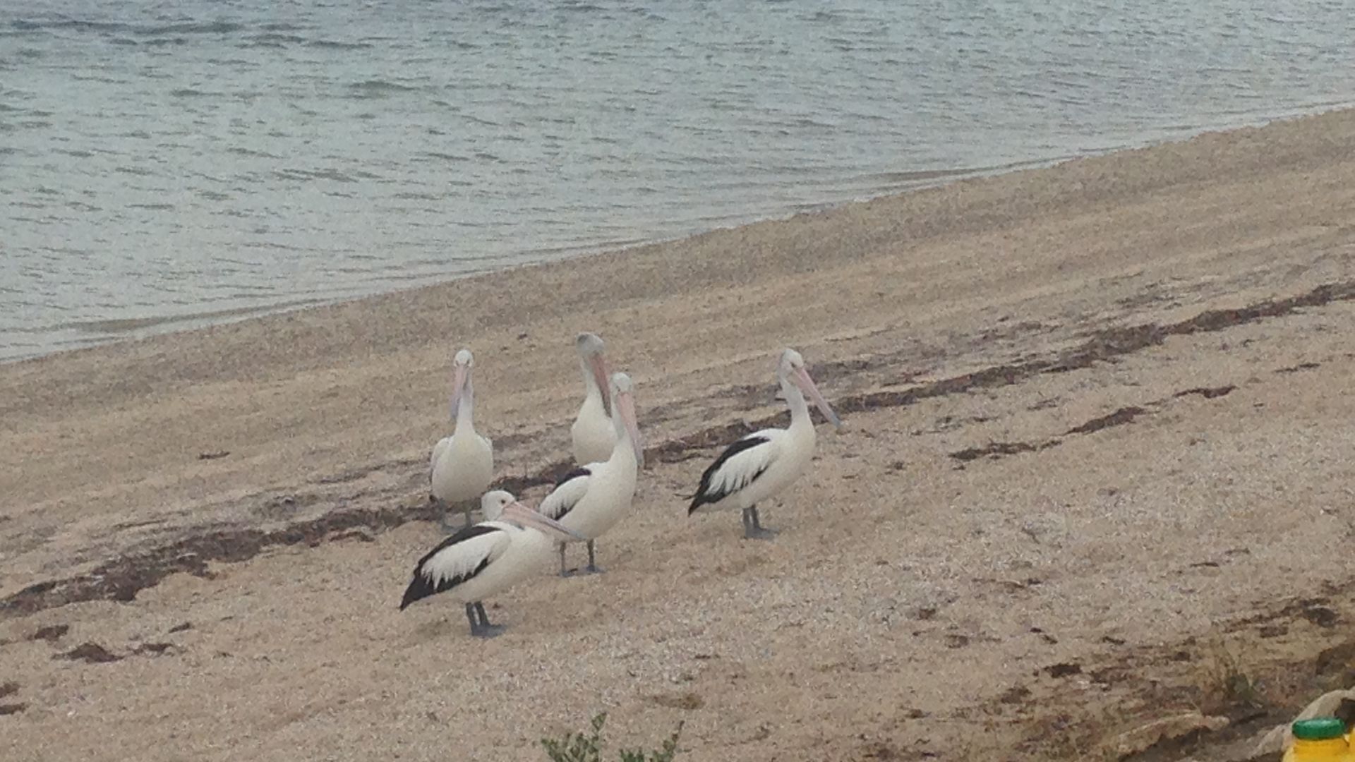 Location Location Location \nClosing for Renos 6th May - Sept 6th \nour apologies — image 27