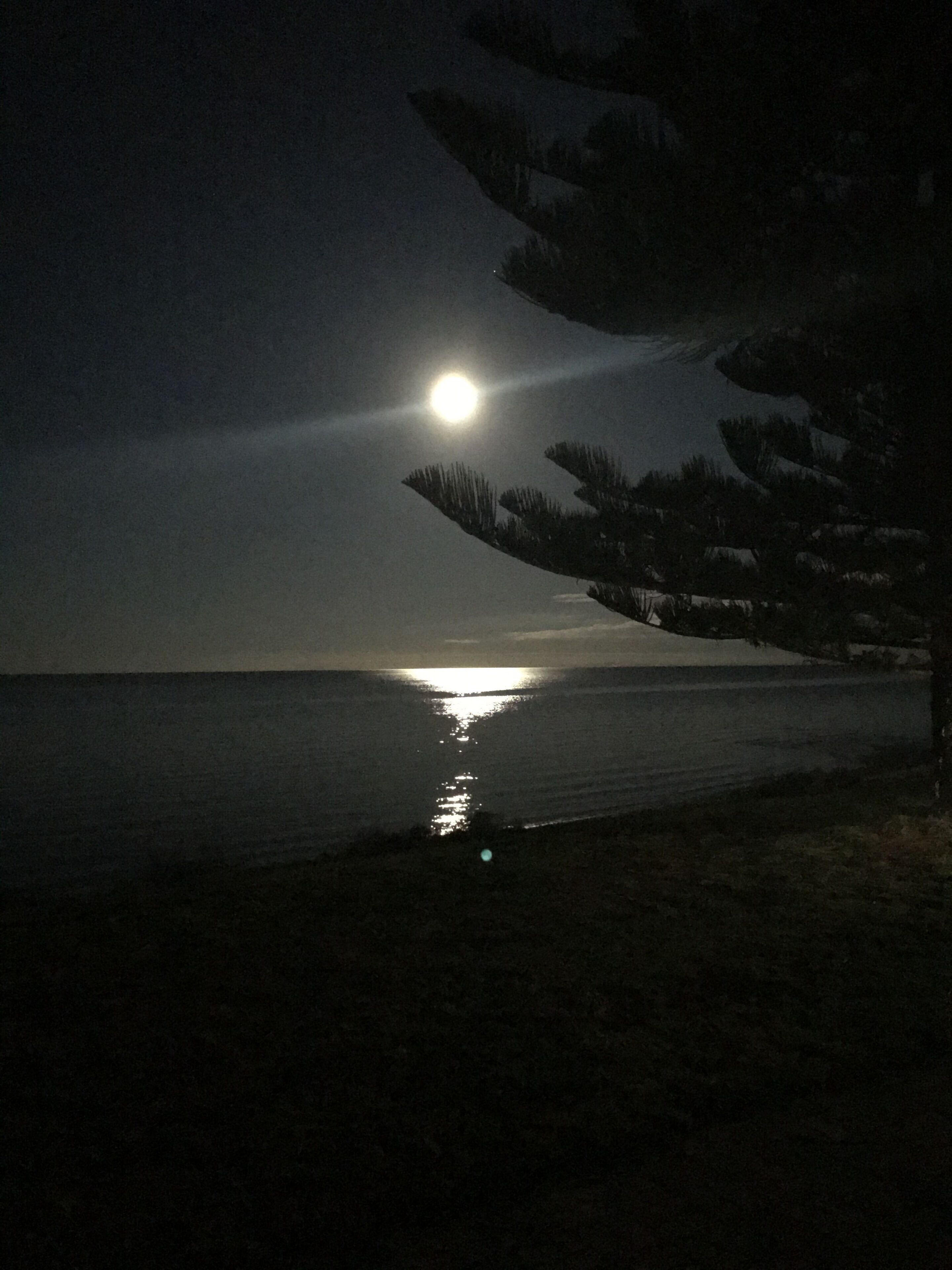 Location Location Location \nClosing for Renos 6th May - Sept 6th \nour apologies — image 6