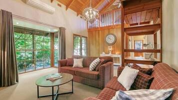 TV, fireplace, video games, DVD player