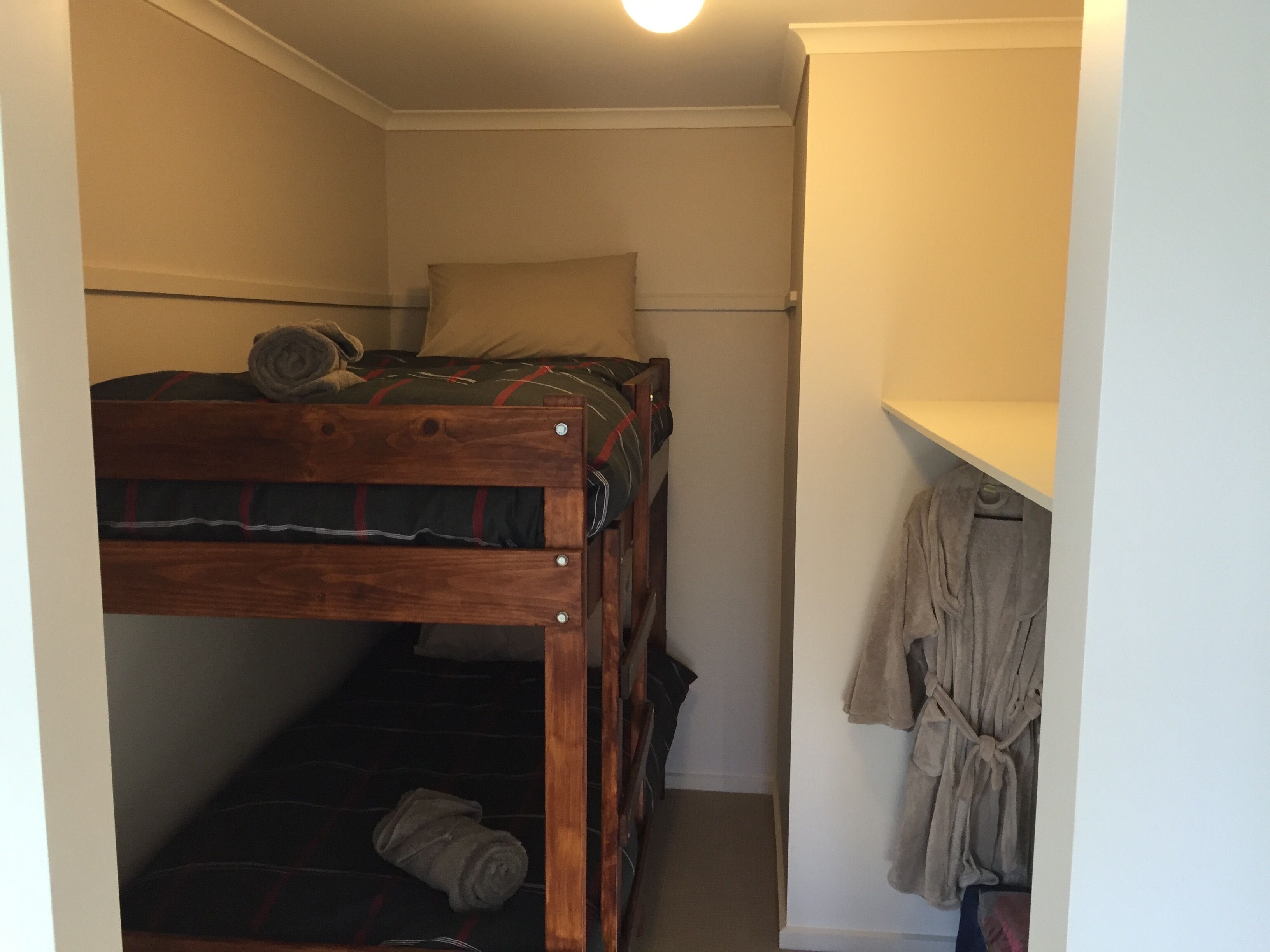 Echidna on Bruny, luxury within island bushland