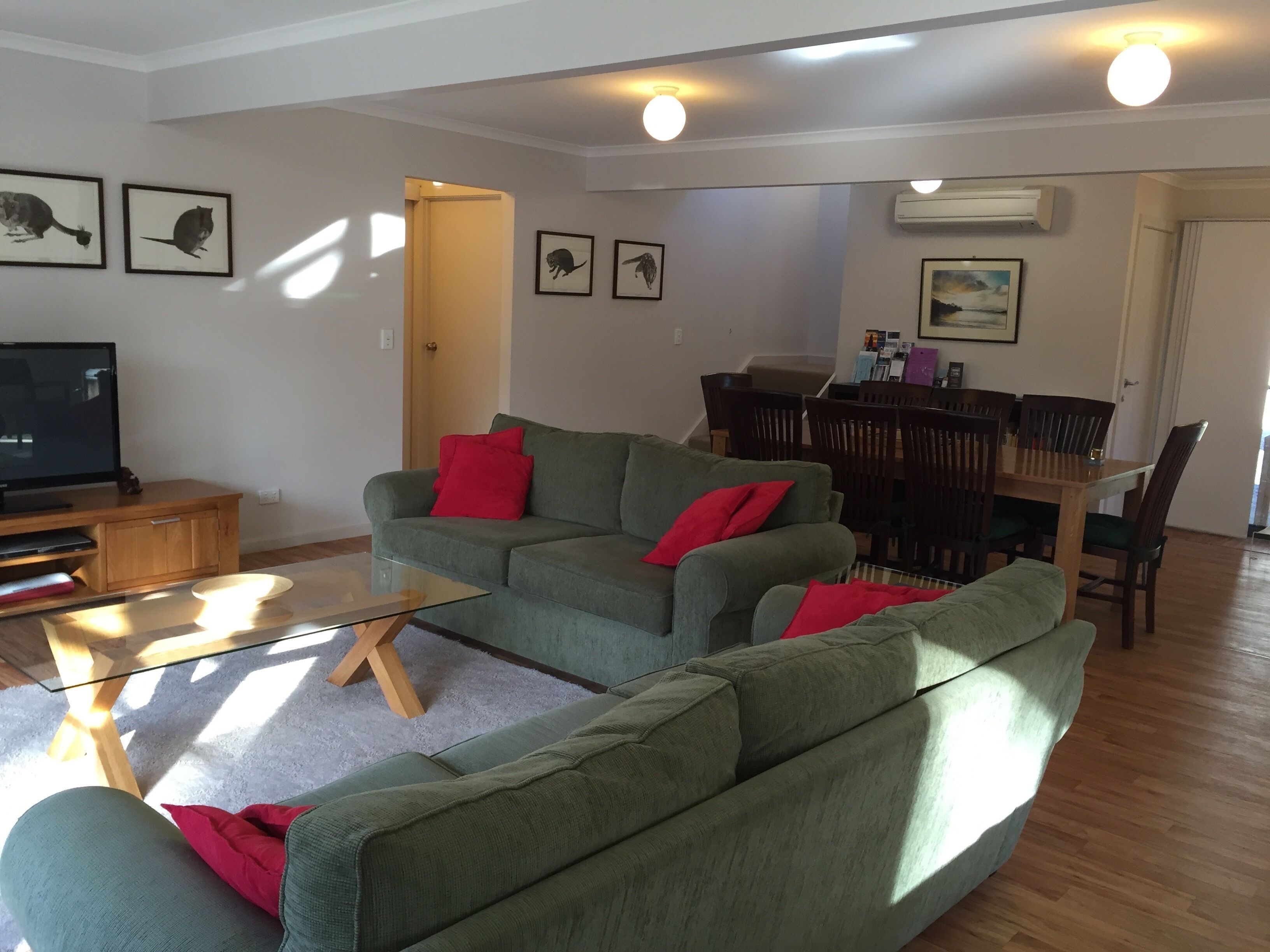 Echidna on Bruny, luxury within island bushland