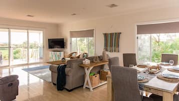 TV, fireplace, DVD player, books