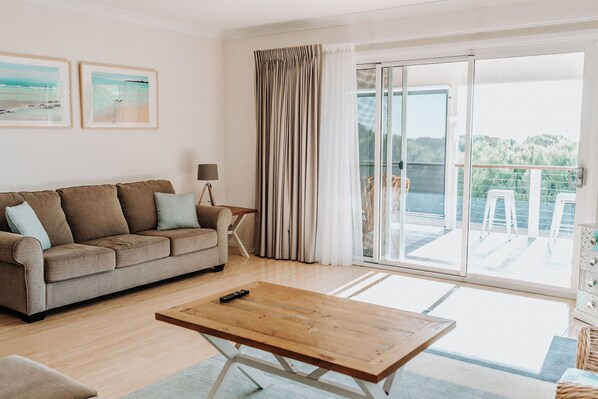 Televisión, chimenea, reproductor de DVD y libros 