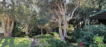 COTTAGE ON PARK: Backs onto Park, leads to Beach 