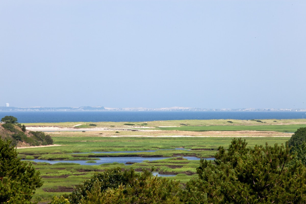 Afbeelding van de eigenaar