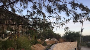 A stone wall with a curved top, a dirt path, and a dog walking away. -  Near the best Surf beaches in San Jose del Cabo! (San José del Cabo)