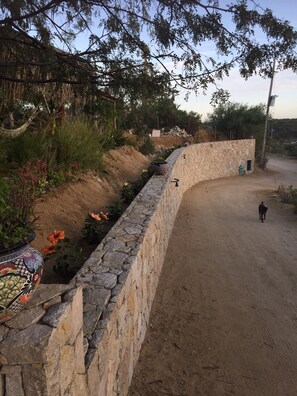 Property grounds - Near the best Surf beaches in San Jose del Cabo! (San José del Cabo)