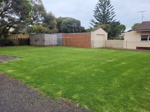 A backyard with a grassy lawn, a brick wall, and a wooden shed.