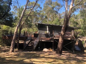 Escape to a secluded forest retreat with a cabin featuring a deck and staircase to a rooftop seating area.