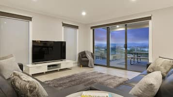 Smart TV, video-game console, DVD player, books