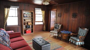 TV connectée, cheminée, livres