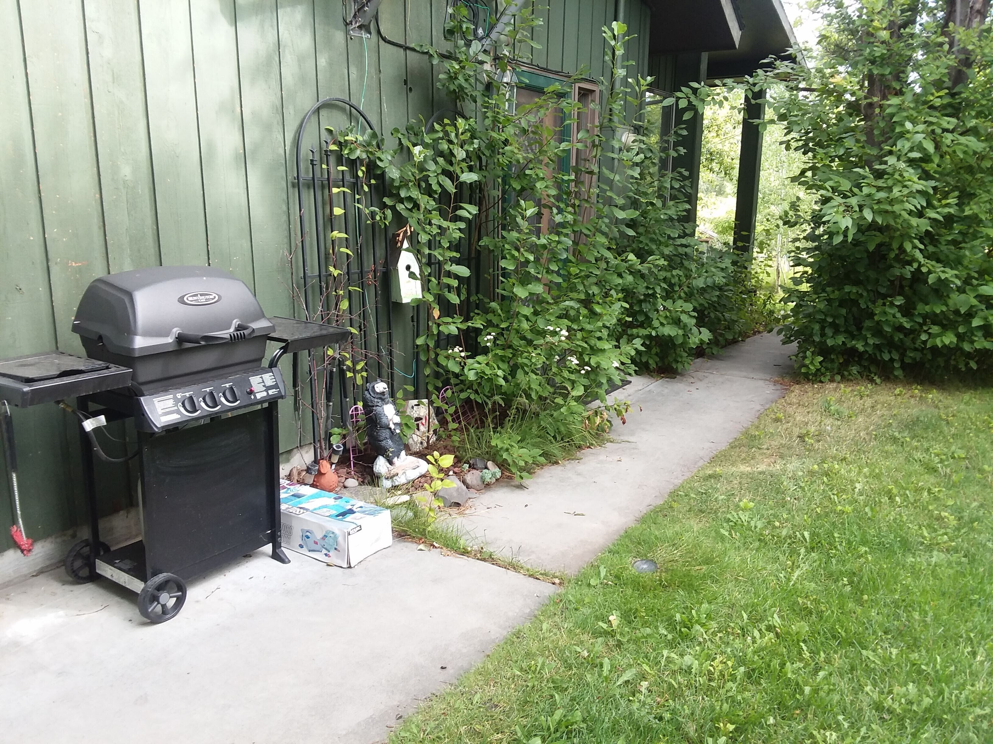 A barbecue grill and a toy box outside a green building.