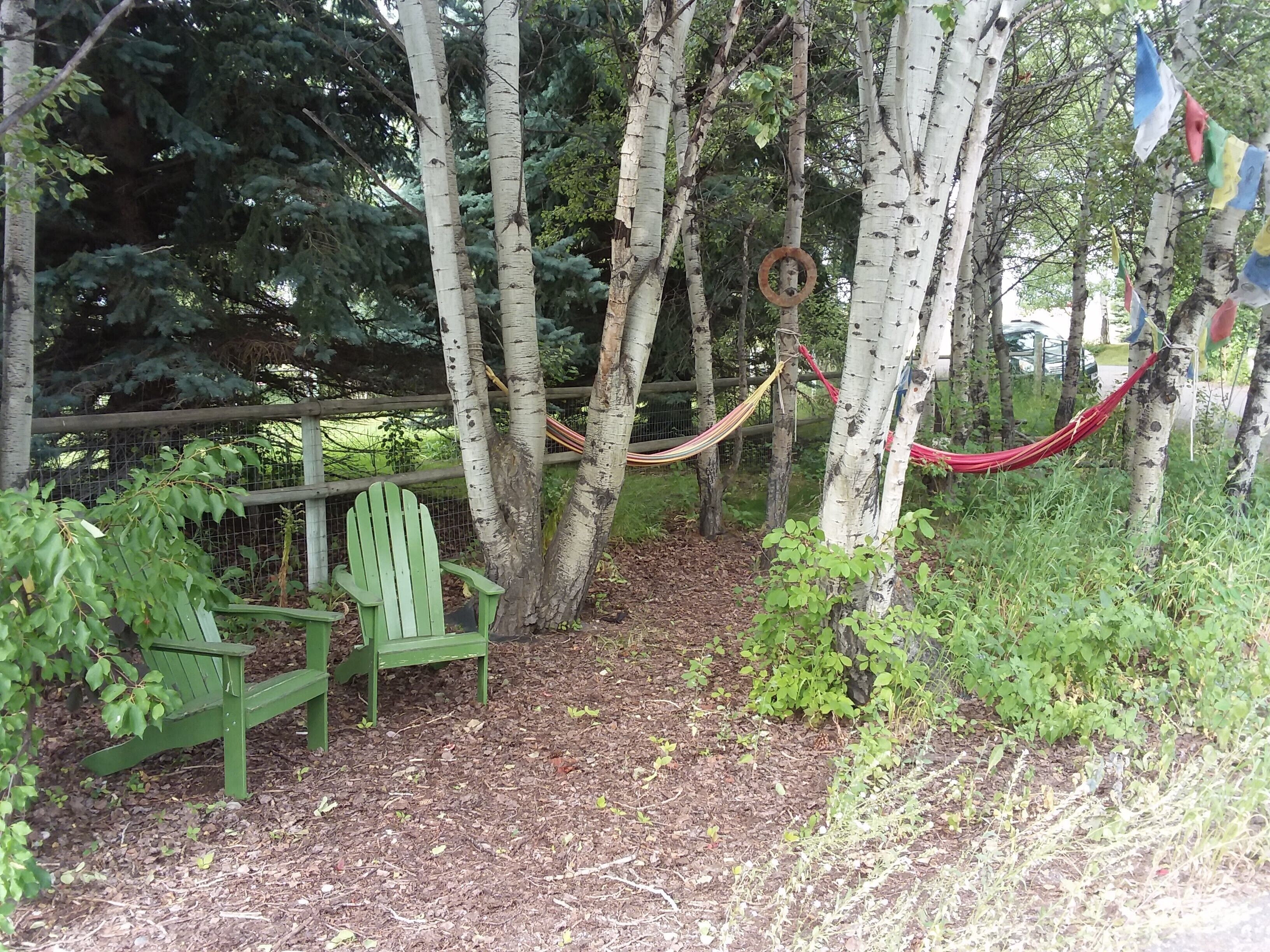 Área da propriedade