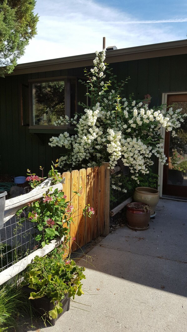 Overnattingsstedets uteområder