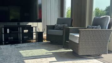 Télévision, cheminée, lecteur de DVD, livres