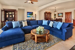 Smart TV, DVD player, books, video library