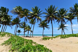 Ein Strand mit Palmen und einem wolkenlosen, blauen Himmel.