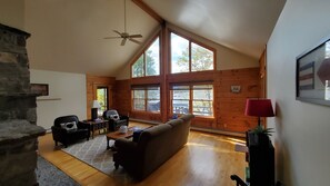 TV, fireplace, DVD player, video library