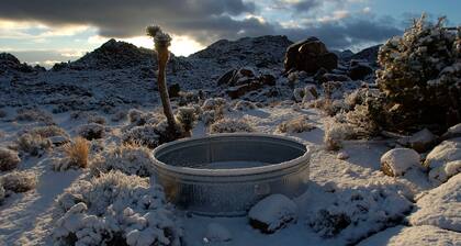 Joshua Tree Oasis. Ven Actualiza tu Espíritu!