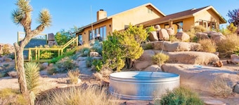 Joshua Tree Oasis
