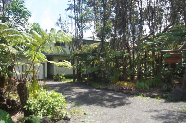 A house surrounded by lush greenery and a gravel driveway.