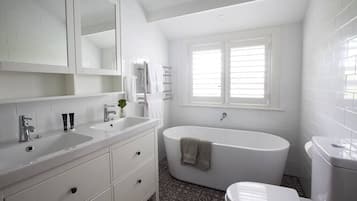 Shower, hair dryer