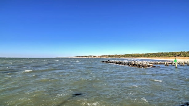 En kustvy med en stenbrygga som sträcker sig ut i havet, en sandstrand och ett skogsområde i bakgrunden.