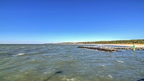 Udsigt over kysten med en stenmole, der strækker sig ud i havet, en sandstrand og et skovområde i baggrunden.