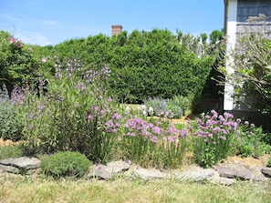 Terrain de l’hébergement
