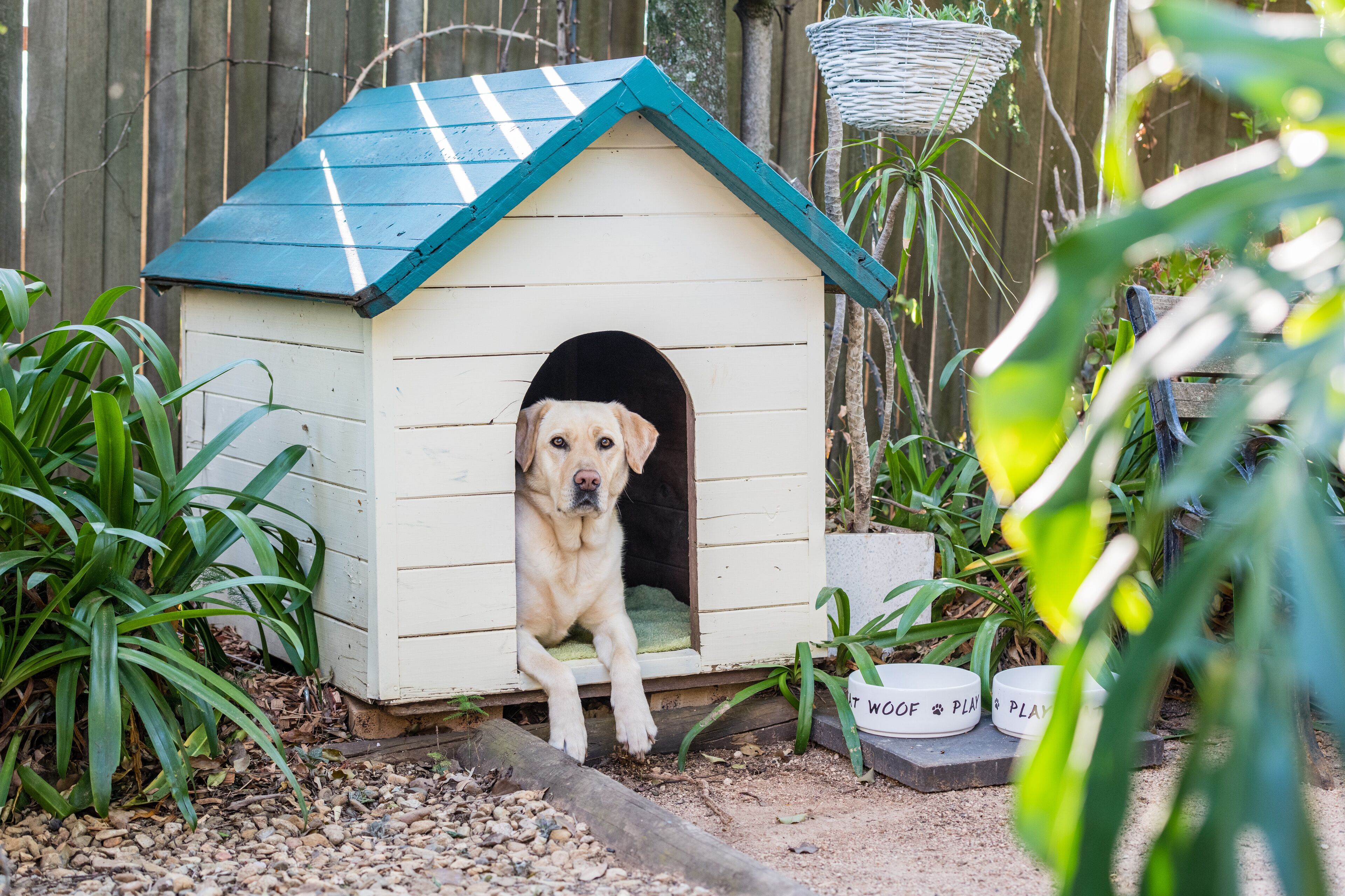 Top 8 Pet & DogFriendly In Toowoomba, Australia