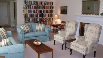 TV, fireplace, video games, DVD player