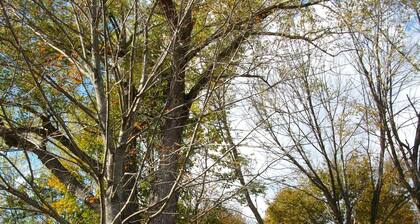 Phillips Academy Area – Ideal for Families Visiting Campus & Touring New England