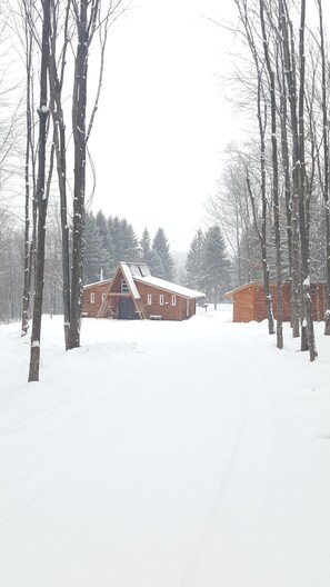 Surrounded by snow-covered trees, this cabin-style building blends seamlessly into its winter wonderland surroundings.