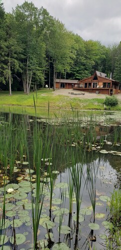 Peaceful cabin getaway close to Ellicottville and Holimont.