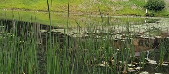 Peaceful cabin getaway close to Ellicottville and Holimont.