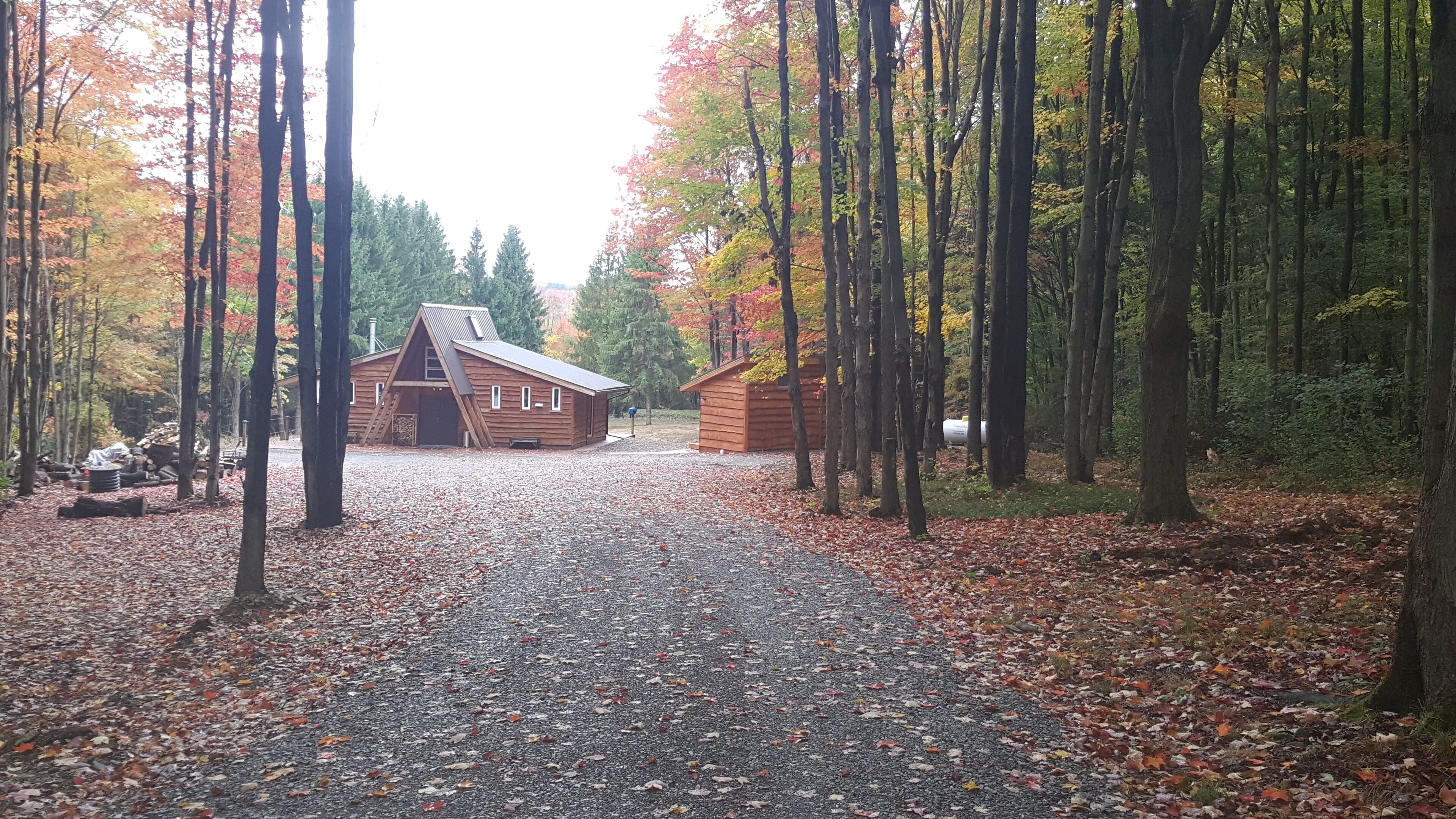 2 Br Cabin Vacation Rental In Franklinville, New York Vrbo Property