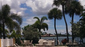 A swimming pool with clear water, surrounded by palm trees and lounge chairs. - Treasure Island Escape is Calling... Many Family Friendly amenities for Fun! (Treasure Island)