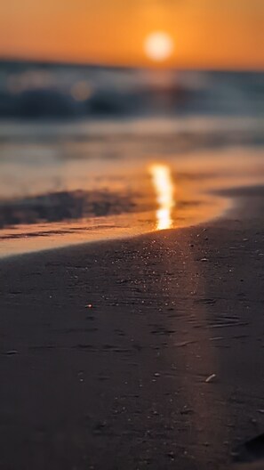 Plage à proximité, chaises longues, serviettes de plage