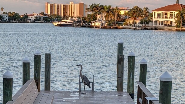 A wooden dock extending into a body of water with a cityscape in the background. - Treasure Island Escape is Calling... Many Family Friendly amenities for Fun! (Treasure Island)