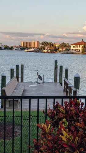 Treasure Island Escape is Calling... Many Family Friendly amenities for Fun!