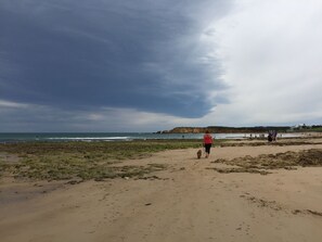 Playa en los alrededores y toallas de playa 